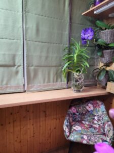 Наші роботи