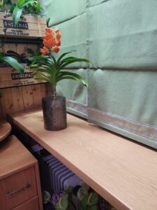 Наші роботи